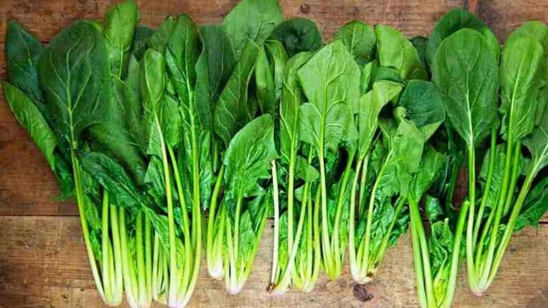 8 loại thực phẩm nghe bình thường nhưng rất không tốt cho thận: Món thứ 3 nhiều người còn ngỡ tốt cho sức khỏe nên ăn hằng ngày- Ảnh 3. 8 loại thực phẩm nghe bình thường nhưng rất không tốt cho thận: Món thứ 3 nhiều người còn ngỡ tốt cho sức khỏe nên ăn hằng ngày- Ảnh 3.