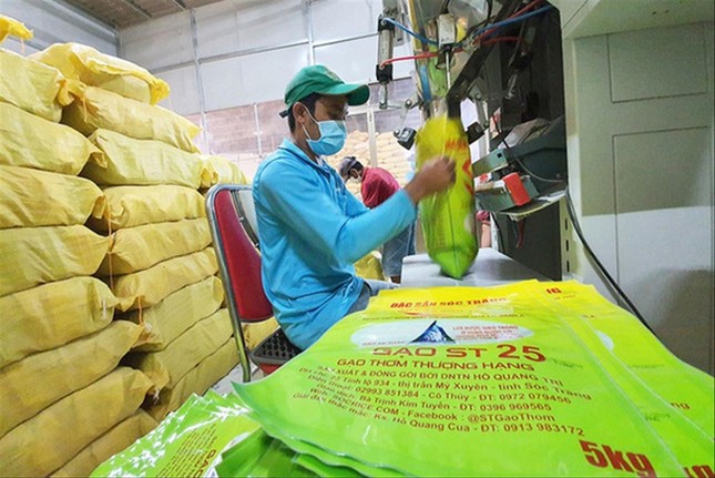 Miễn thuế 9 loại gạo Việt xuất châu Âu, không có ST25 - Ảnh 1.