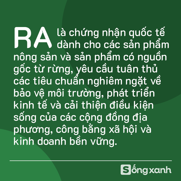 5 tỷ đồng, 2 năm thất bại và thành quả chưa từng có ở Việt Nam- Ảnh 3.