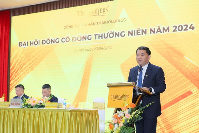 ĐHCĐ Thaiholdings: Giờ là cơ hội để M&A các dự án bất động sản với chi phí thấp - Ảnh 2.