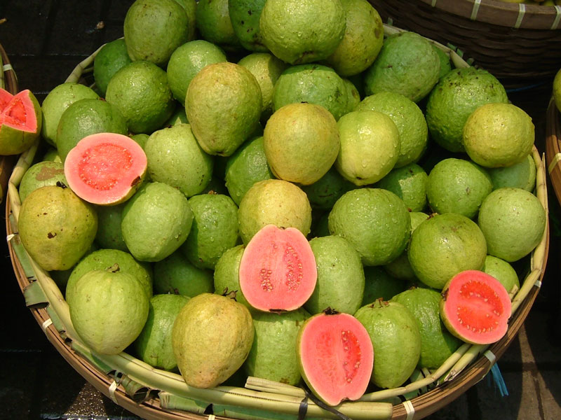 Vitamin C gấp 21 lần táo, loại quả giòn ngọt bán nhiều ở chợ Việt, từ lá đến rễ đều là bài thuốc: Kiểm soát đường máu và cholesterol tốt miễn chê- Ảnh 1.