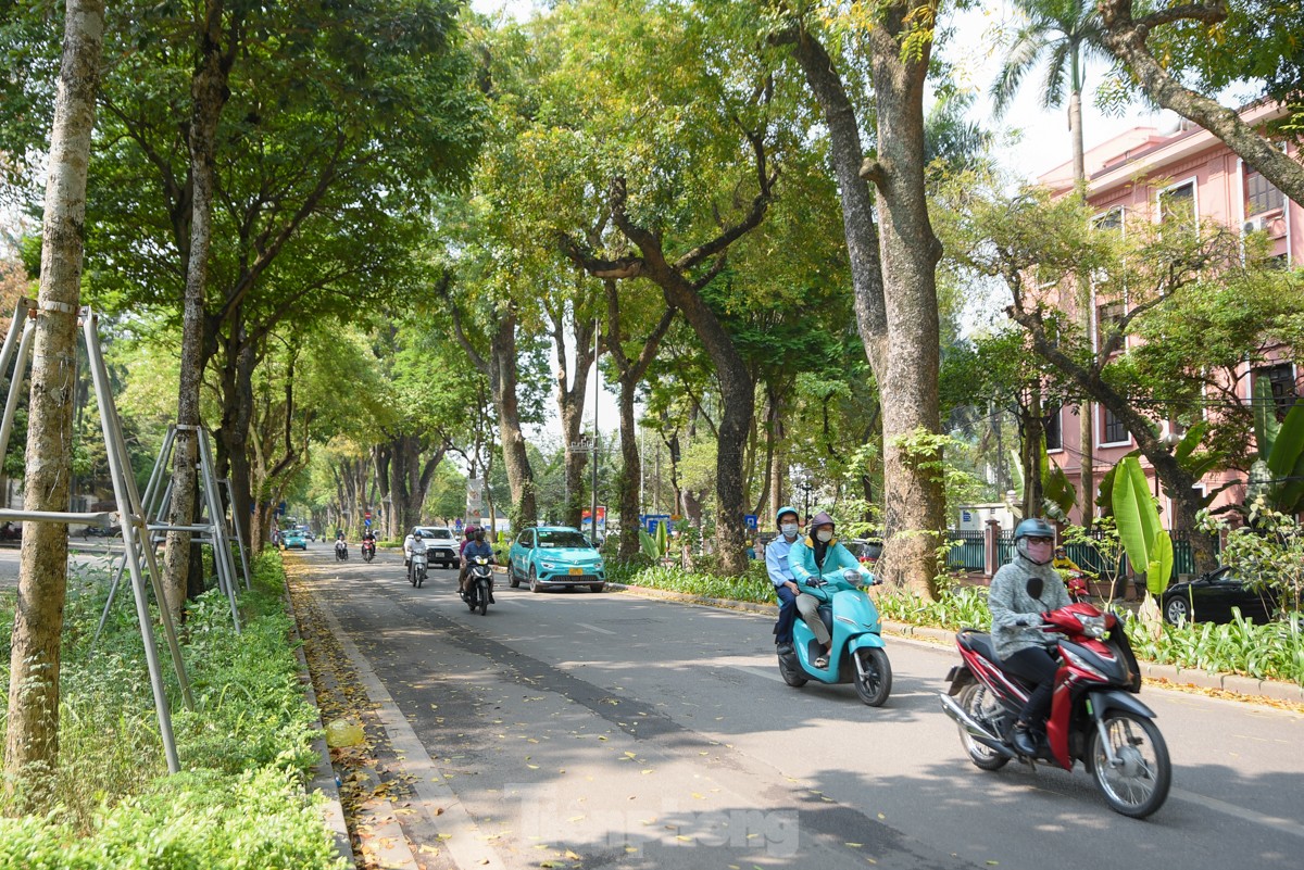 Ngắm những con đường xanh mướt giữa Thủ đô 'giải nhiệt' ngày nắng nóng - Ảnh 6.