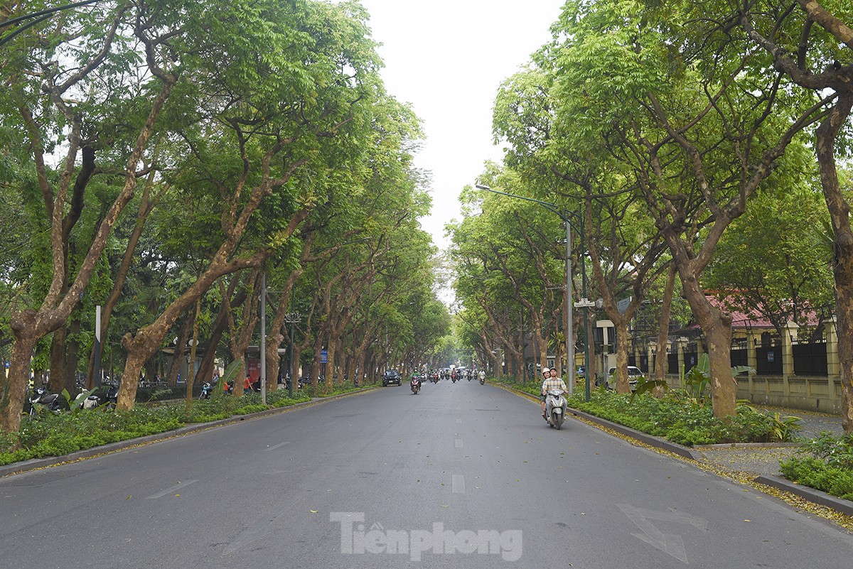 Ngắm những con đường xanh mướt giữa Thủ đô 'giải nhiệt' ngày nắng nóng - Ảnh 11.
