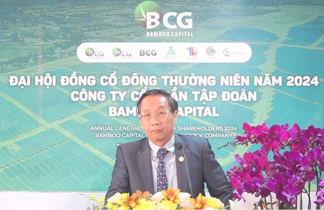 Chân dung tân Chủ tịch HĐQT người nước ngoài của Bamboo Capital - Ảnh 1.