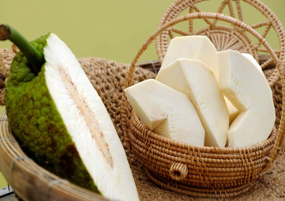 Loại quả cùng họ với mít, cung cấp cho cơ thể tới 85% lượng vitamin C được khuyến nghị hàng ngày- Ảnh 2. Loại quả cùng họ với mít, cung cấp cho cơ thể tới 85% lượng vitamin C được khuyến nghị hàng ngày- Ảnh 2.