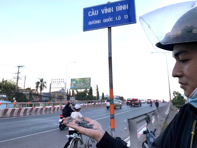 Miệt mài hút hàng chục kg đinh rải dọc quốc lộ 13 xuyên lễ - Ảnh 1. Miệt mài hút hàng chục kg đinh rải dọc quốc lộ 13 xuyên lễ - Ảnh 1.