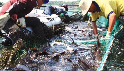 Kho báu ngoài khơi của Việt Nam được 2/3 thế giới săn đón: Thu hơn 400 triệu USD trong quý 1, Mỹ, Trung Quốc chốt đơn nhiều nhất - Ảnh 1.