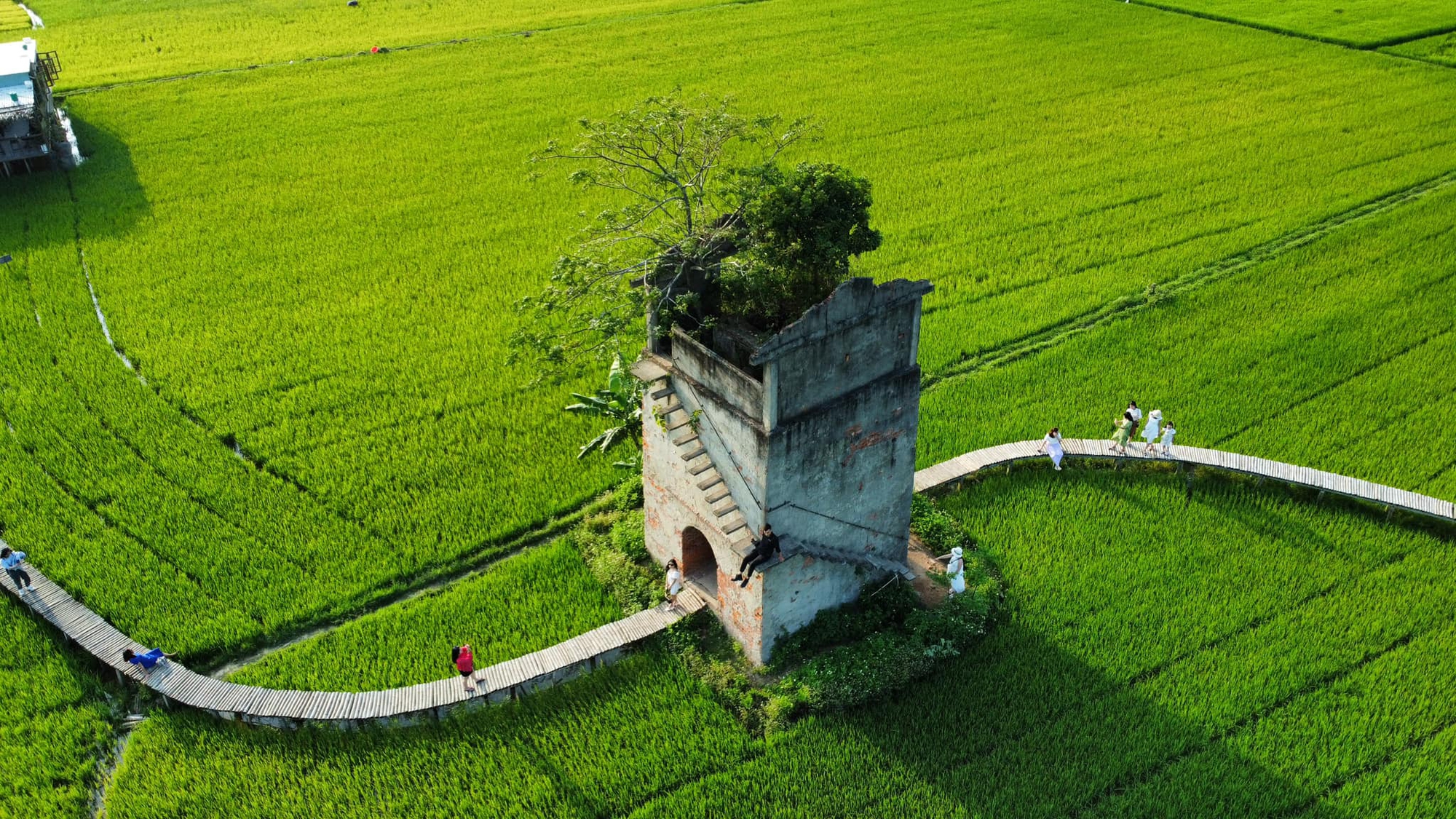 Phát hiện nơi bị bỏ hoang hơn 20 năm ở Hội An, giờ thu hút cực đông khách đến thăm, nằm giữa đồng lúa xanh- Ảnh 3.