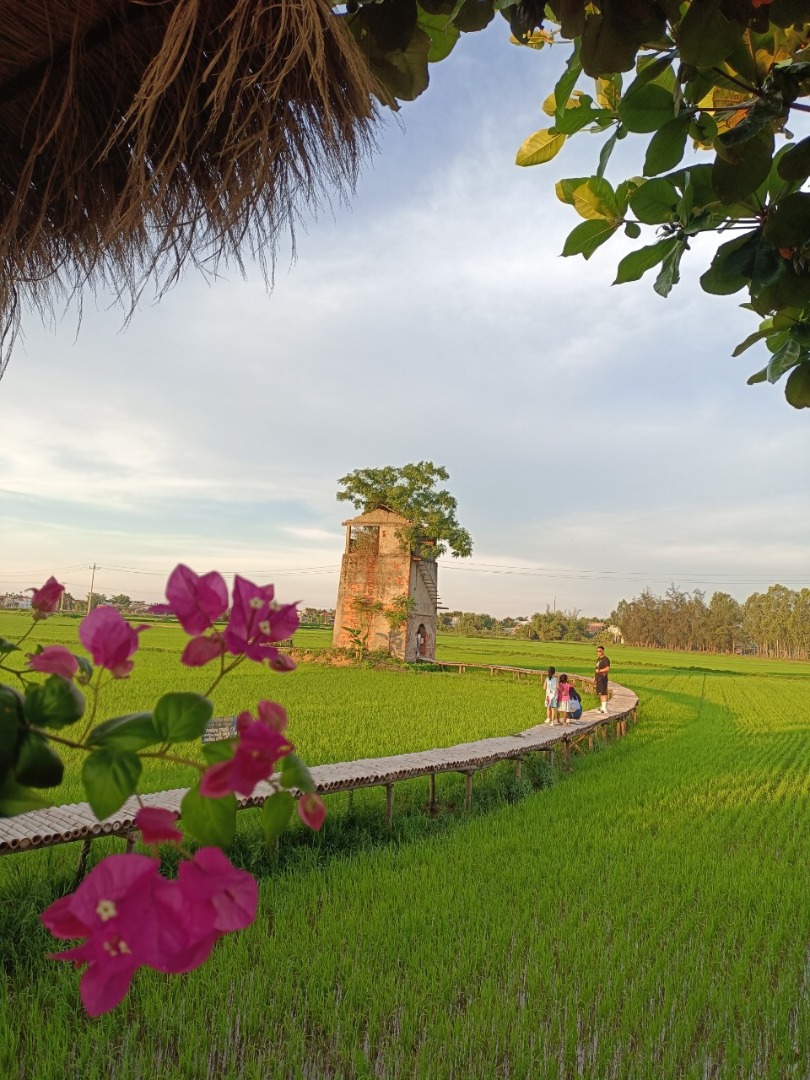 Phát hiện nơi bị bỏ hoang hơn 20 năm ở Hội An, giờ thu hút cực đông khách đến thăm, nằm giữa đồng lúa xanh- Ảnh 13.