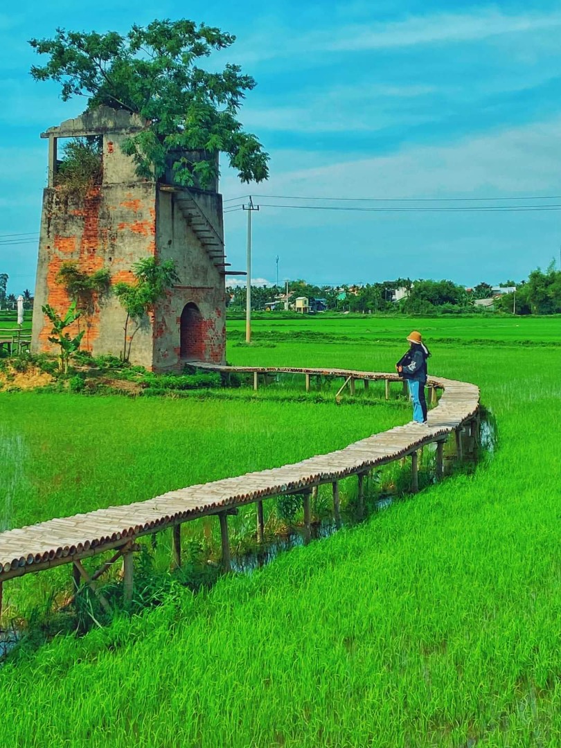 Phát hiện nơi bị bỏ hoang hơn 20 năm ở Hội An, giờ thu hút cực đông khách đến thăm, nằm giữa đồng lúa xanh - Ảnh 7.