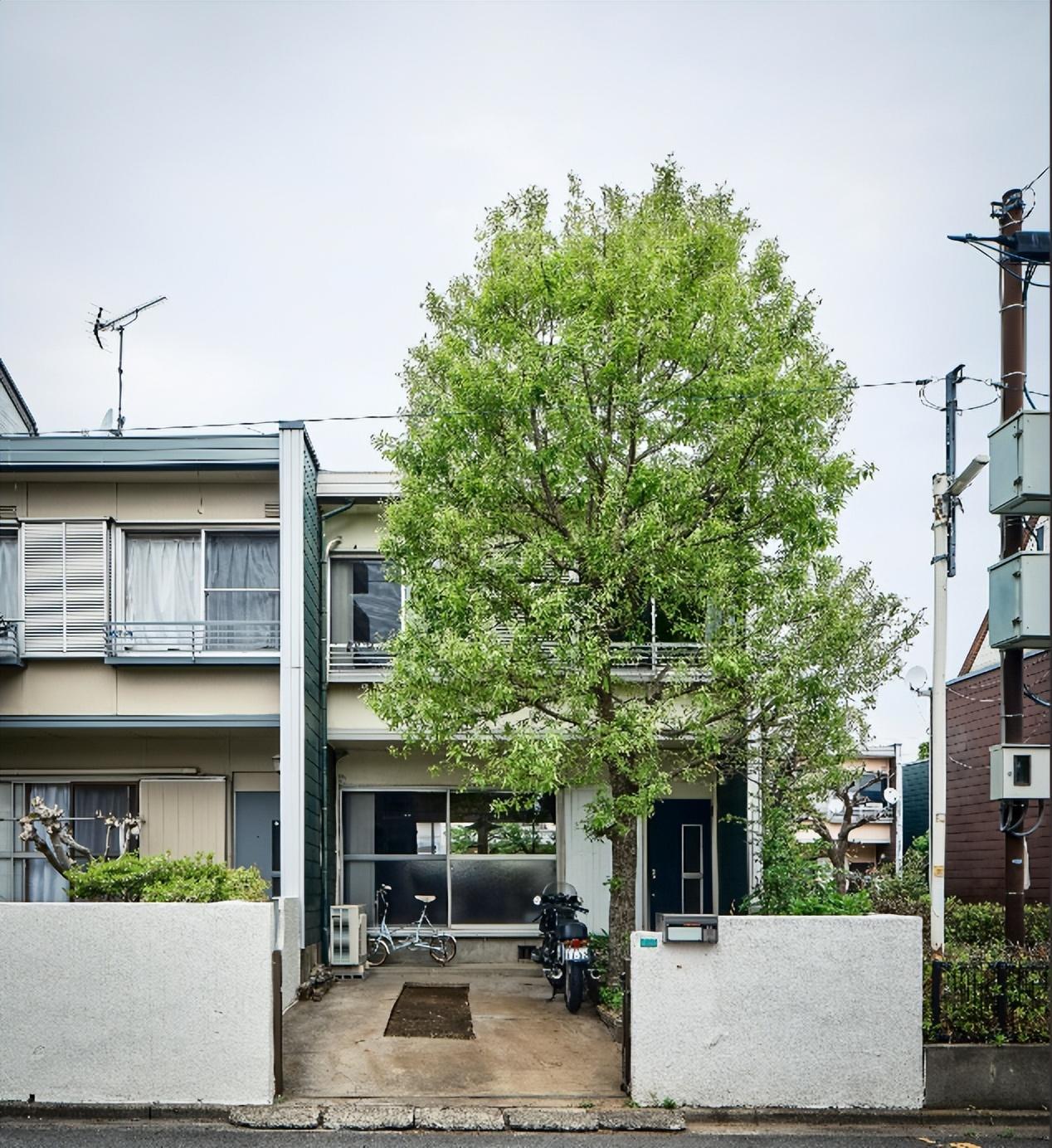 Căn nhà của vợ chồng kiến trúc sư 8x Nhật Bản: Tối giản nhưng đầy tinh tế, nội thất làm bằng 100% gỗ tự nhiên- Ảnh 2.