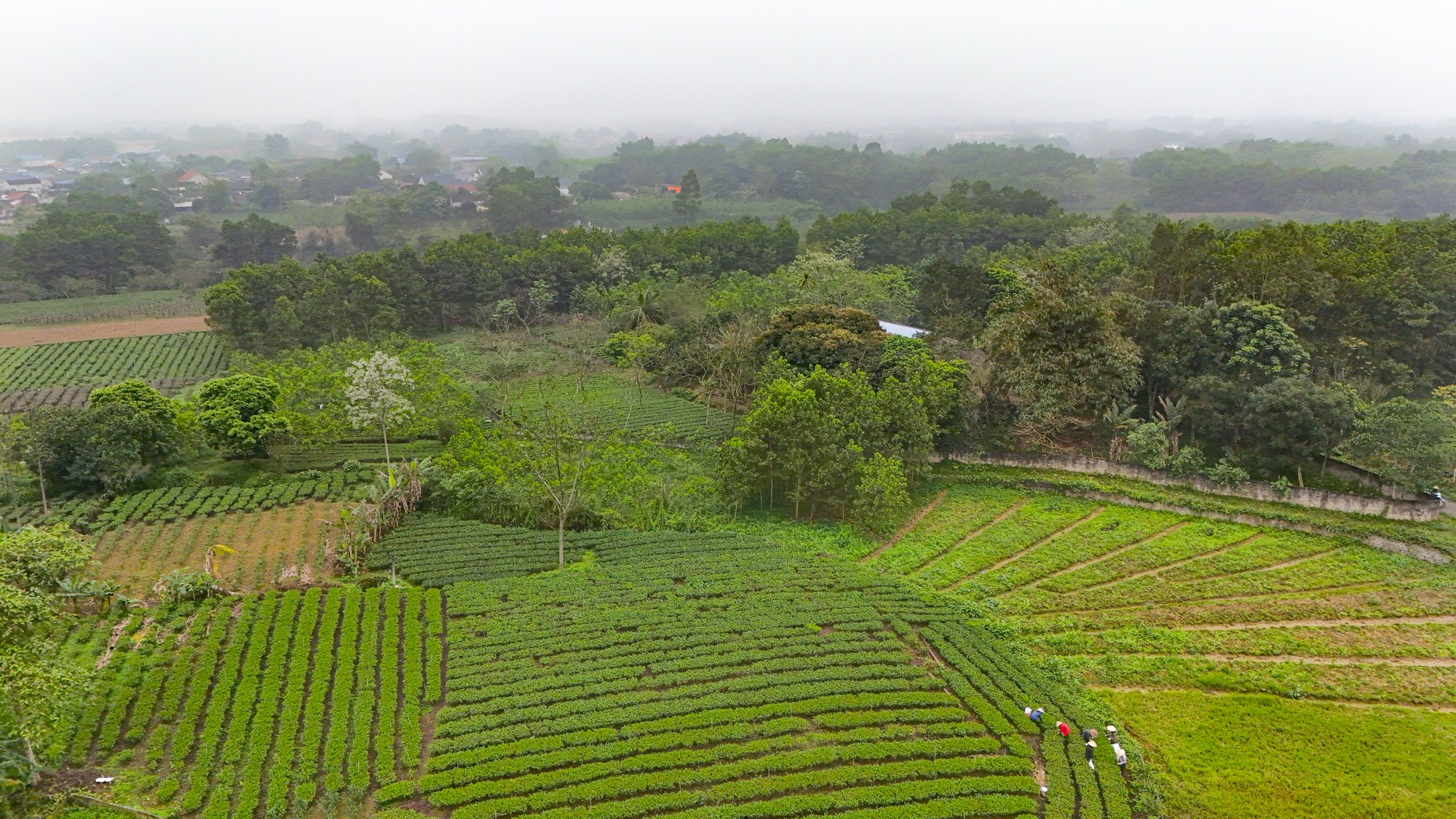 Khu vực sẽ trở thành Khu công nghiệp - Đô thị - Dịch vụ lớn nhất tỉnh Thái Nguyên, gần bằng tổng diện tích khu công nghiệp toàn tỉnh hiện nay cộng lại- Ảnh 9.