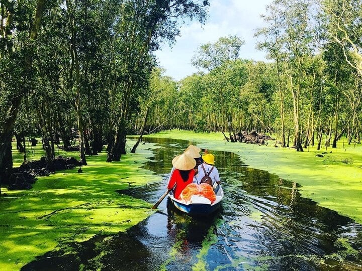 Khu rừng ở Việt Nam được thế giới xếp hạng quý hiếm - Ảnh 2. Khu rừng ở Việt Nam được thế giới xếp hạng quý hiếm - Ảnh 2.