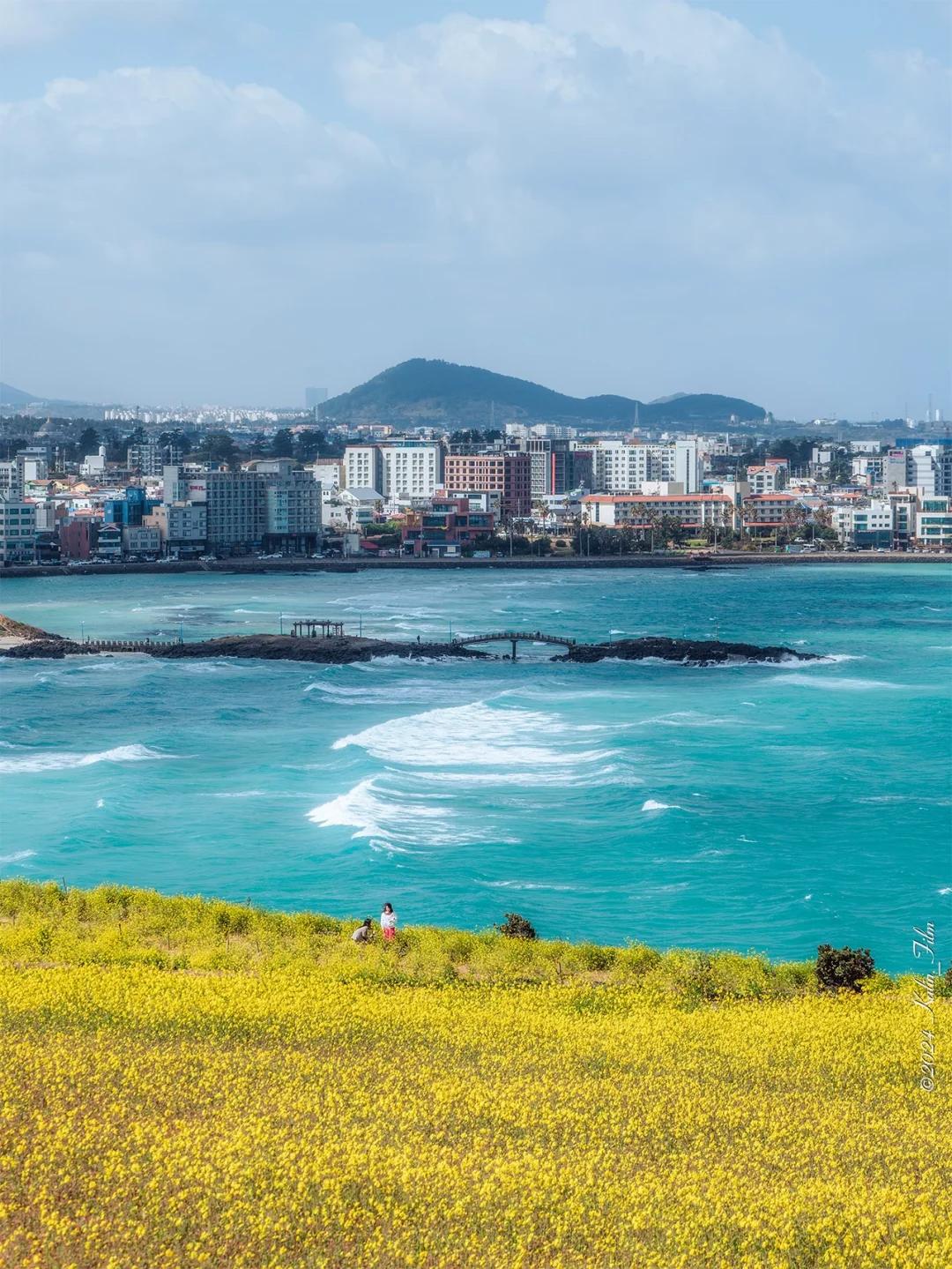 Xả ảnh du ngoạn tận hưởng tại Jeju: Không cần visa, chỉ cần mang theo tâm hồn đẹp nhất để &quot;ăn chơi và chill&quot;- Ảnh 12.