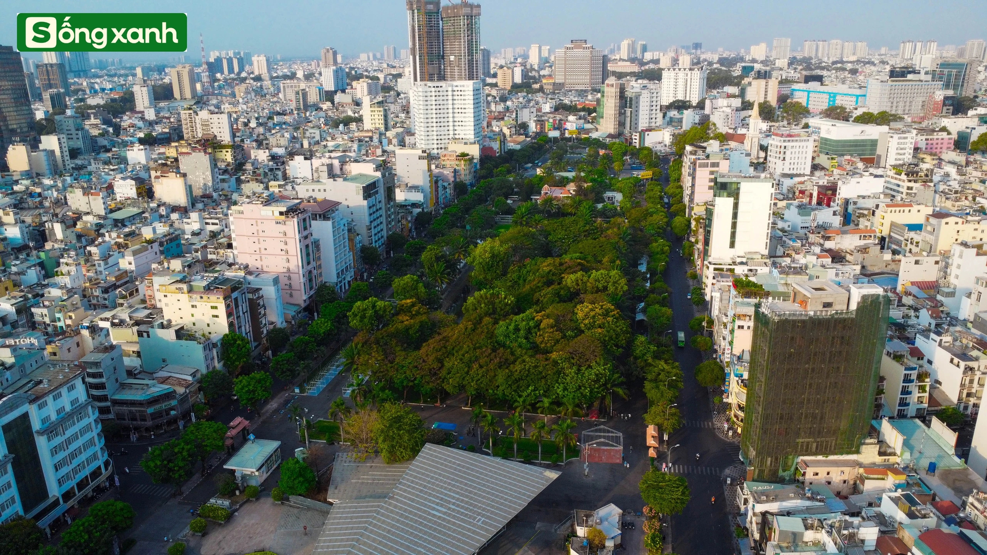 Những 'khu rừng' xanh mát quý như ngọc ở thành phố giàu có và đông dân nhất Việt Nam- Ảnh 2.