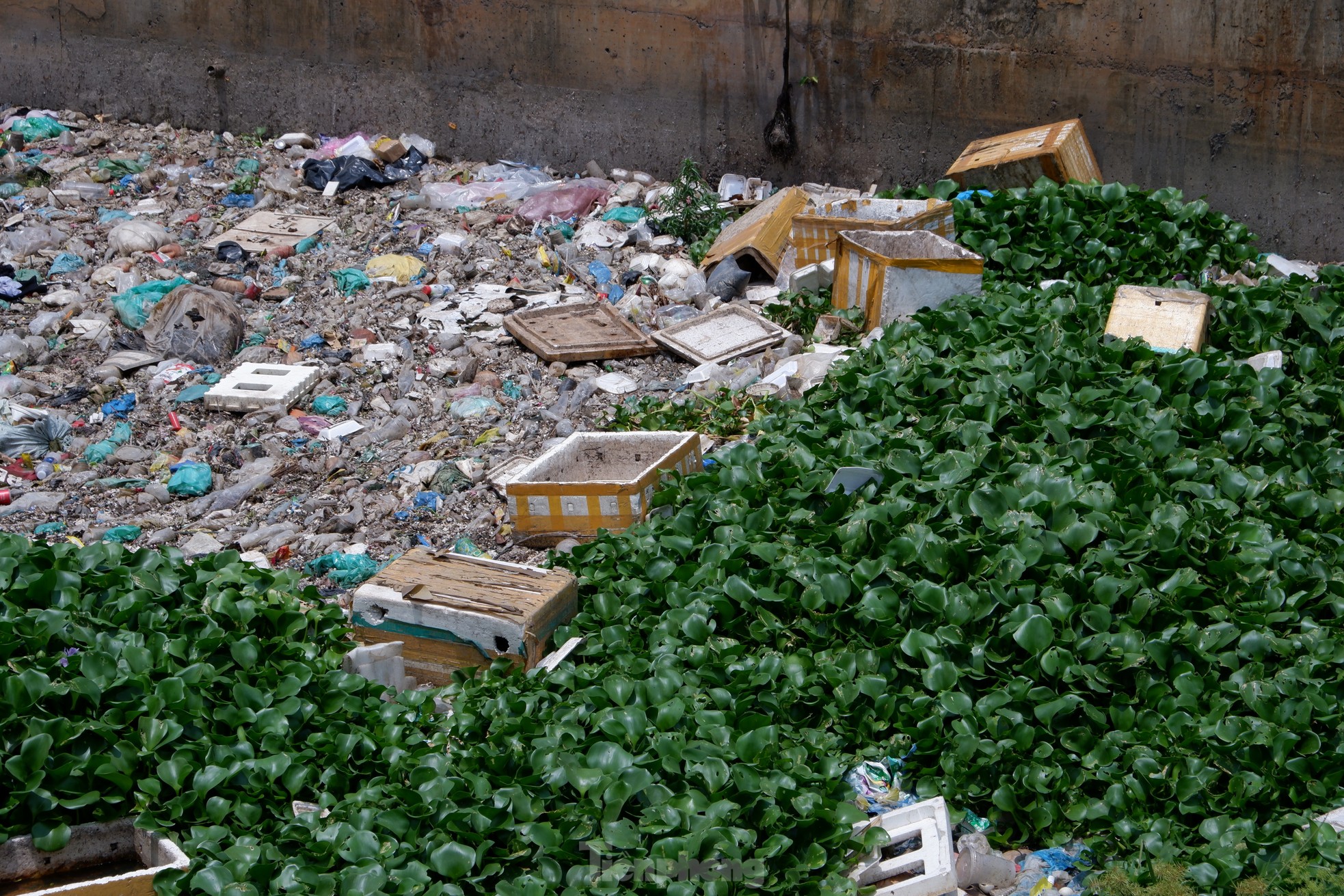 Sau 2 năm cải tạo với hơn 600 tỷ đồng, kênh Nước Đen lại ngập ngụa rác - Ảnh 7.