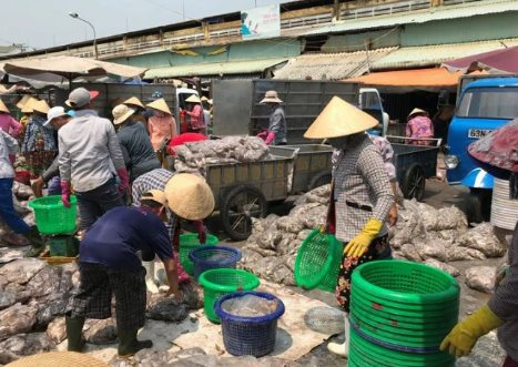 Hàn Quốc, Trung Quốc đua nhau săn lùng mặt hàng này của Việt Nam: Thu hơn 138 triệu USD kể từ đầu năm, nước ta đứng thứ 3 thế giới về xuất khẩu - Ảnh 1.