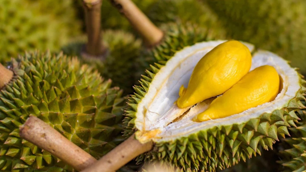 Phụ nữ thường ăn loại quả “ngọt béo” này dễ đạt 4 lợi ích tựa như thuốc bổ: Bác sĩ tiết lộ 1 điều ai đường huyết cao nhất định phải biết- Ảnh 1.
