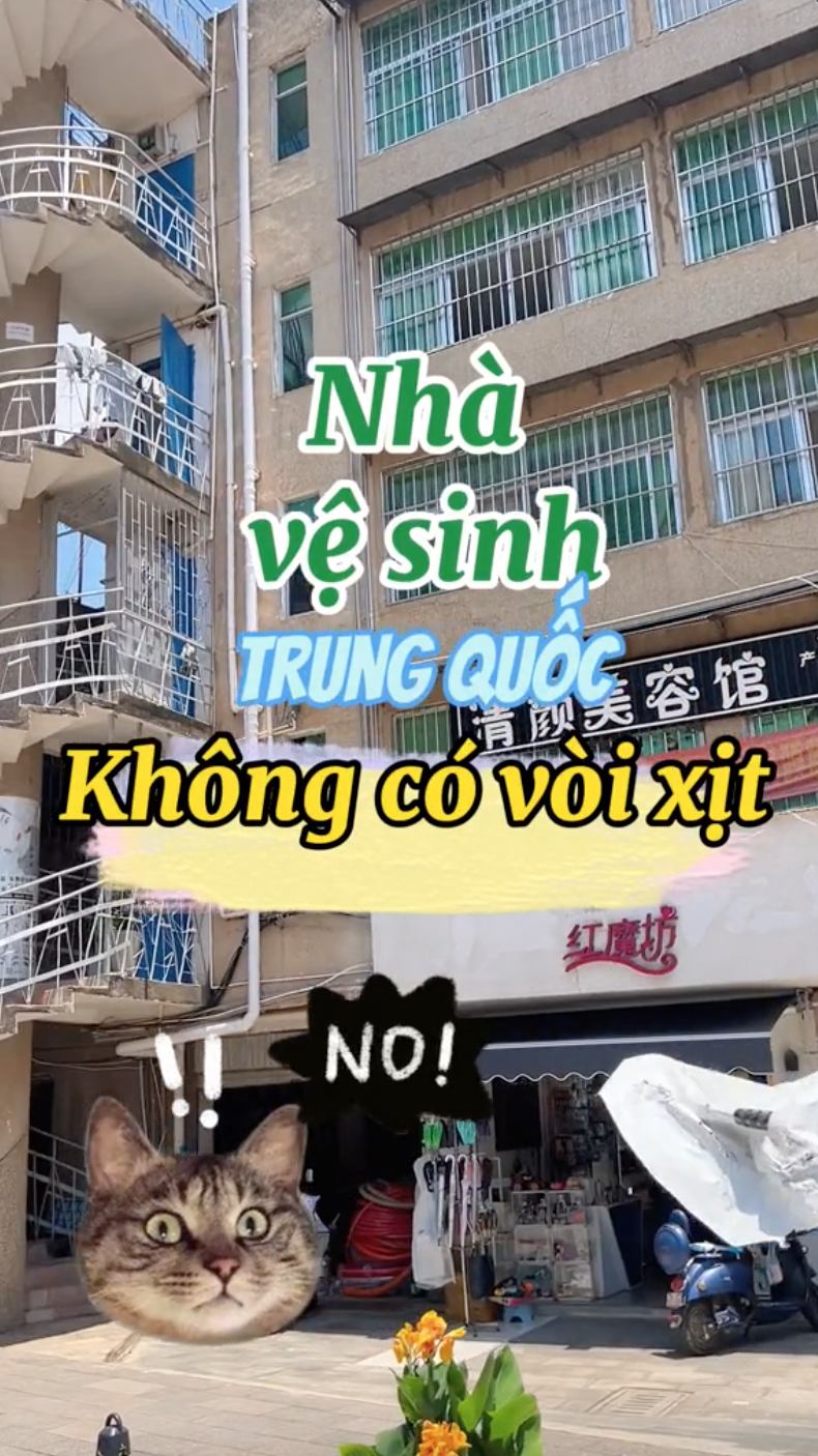 "Cú sốc văn hoá" khi du lịch Trung Quốc khiến du khách bảo nhau: "Không cần mang gì, chỉ cần thứ này"!- Ảnh 4.