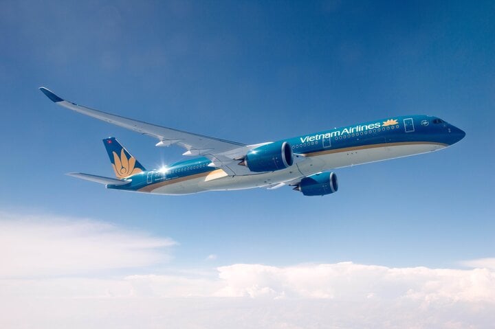 Đề xuất gia hạn khoản nợ 4.000 tỷ đồng gỡ khó cho Vietnam Airlines - Ảnh 1.