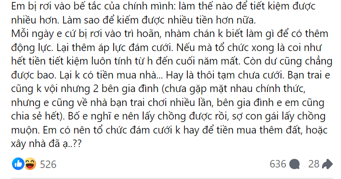 Thu nhập 100 triệu/tháng vẫn phân vân không biết nên mua đất hay đám cưới- Ảnh 4.