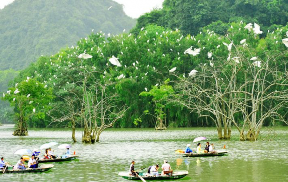 Phát hiện điểm du lịch sông nước độc lạ tại thành phố biển, du khách ca ngợi như một “miền Tây thu nhỏ&quot;- Ảnh 3.