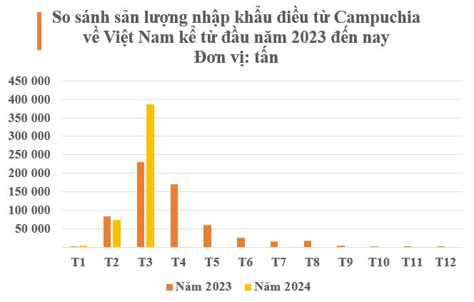 Xuất khẩu 98% loại 'hạt vàng hạt bạc' này sang Việt Nam, người Campuchia tiếc nuối: 'sản phẩm của chúng ta ngon, chất lượng tốt nhưng thiếu công nghệ chế biến' - Ảnh 2.