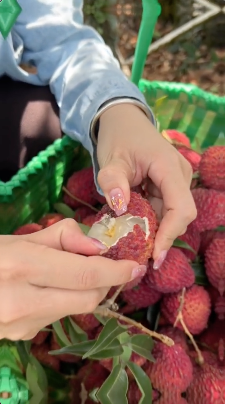 Xuất hiện quả vải "siêu to khổng lồ" ngang bàn tay người, cư dân mạng săn lùng tìm mua- Ảnh 3.