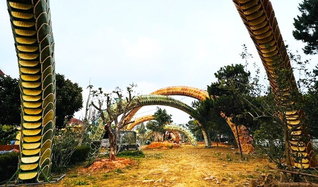 Bị phạt gần 100 triệu đồng vì mang linh vật rồng từ đường hoa Nguyễn Huệ lên lắp đặt ở Đà Lạt - Ảnh 2.