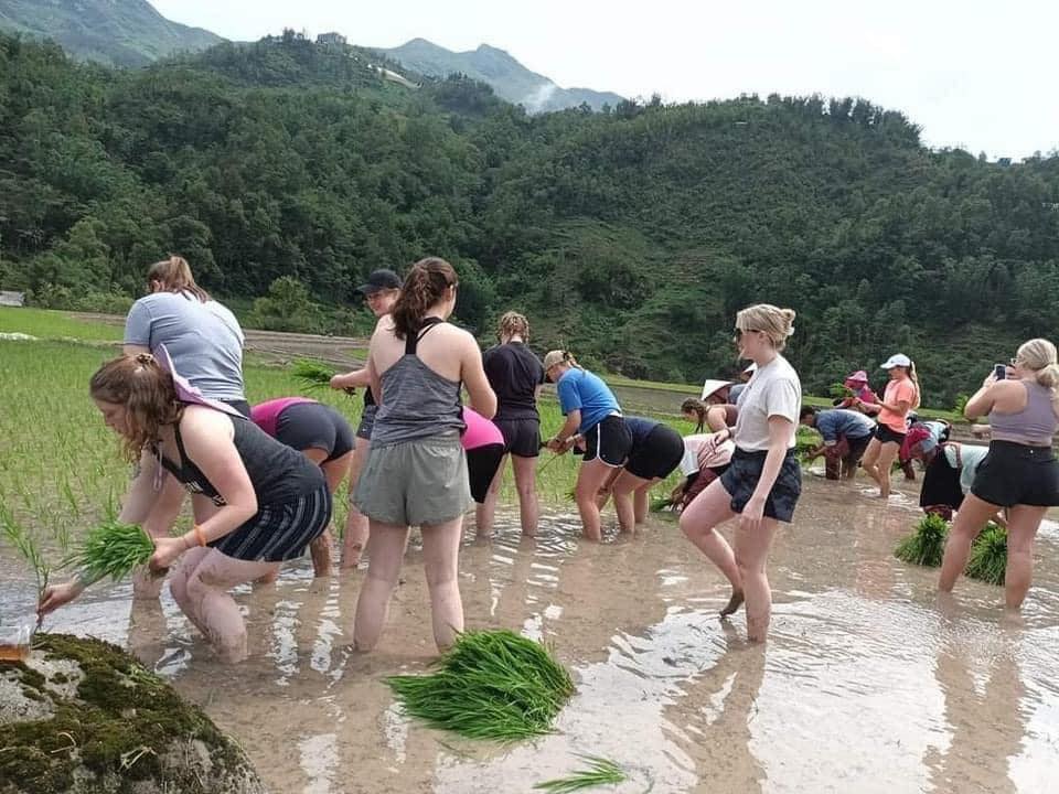 Khách Tây lội ruộng cấy lúa ở Sa Pa, tối về khen cơm ngon nức nở: "Thế mới hiểu giá trị hạt gạo"- Ảnh 3.