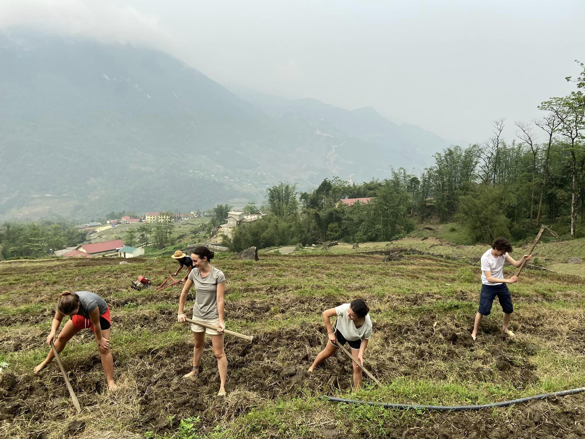 Khách Tây lội ruộng cấy lúa ở Sa Pa, tối về khen cơm ngon nức nở: "Thế mới hiểu giá trị hạt gạo"- Ảnh 4.