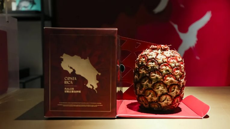 Một loại quả 'rẻ bèo' ở chợ Việt hoá thành ‘ngọc đỏ quý hiếm’ hơn 10 triệu VNĐ 1 quả, mất 15 năm lai tạo, ‘sơ hở’ là cháy hàng- Ảnh 4.