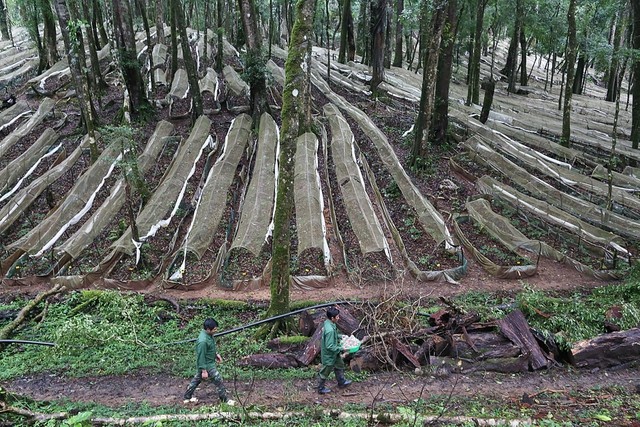 Nợ xấu 63 tỷ đồng với FPT Telecom, một công ty vẫn chốt đơn 20 chiếc Wuling Mini EV để đi bán hàng, từng vướng vào 'lùm xùm' với bầu Đức - Ảnh 2.