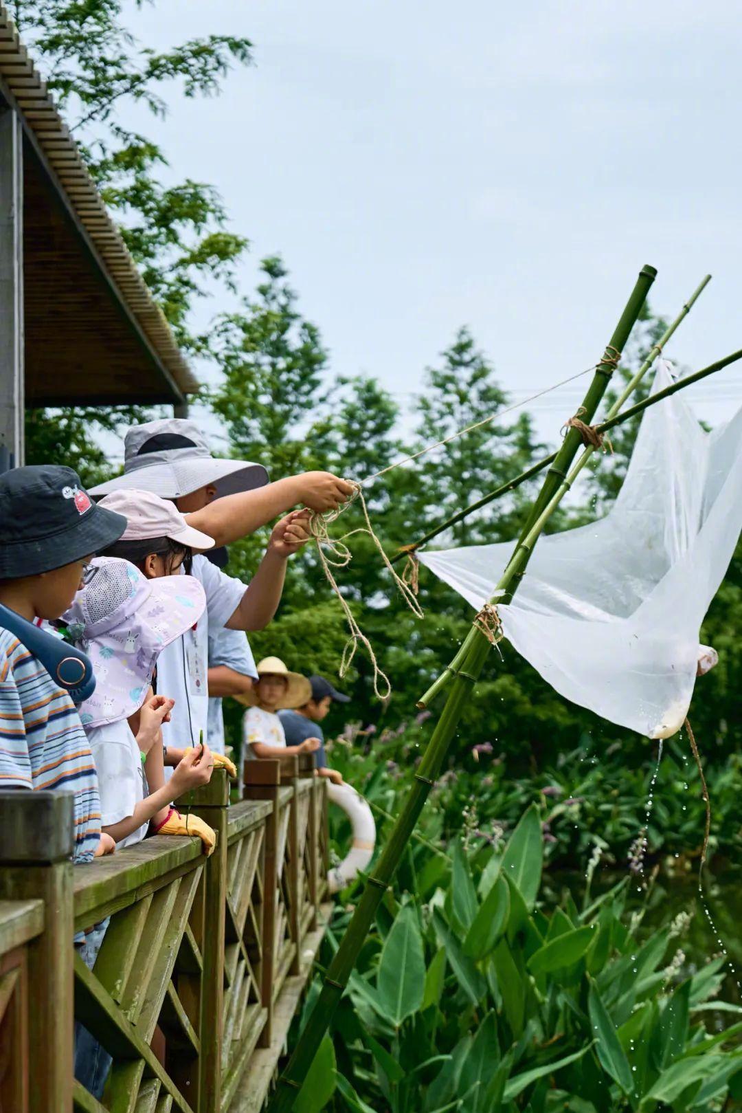 Cặp vợ chồng về quê mua đất làm trang trại: "Đây là quyết định đúng đắn nhất cho đến bây giờ của chúng tôi"- Ảnh 11.