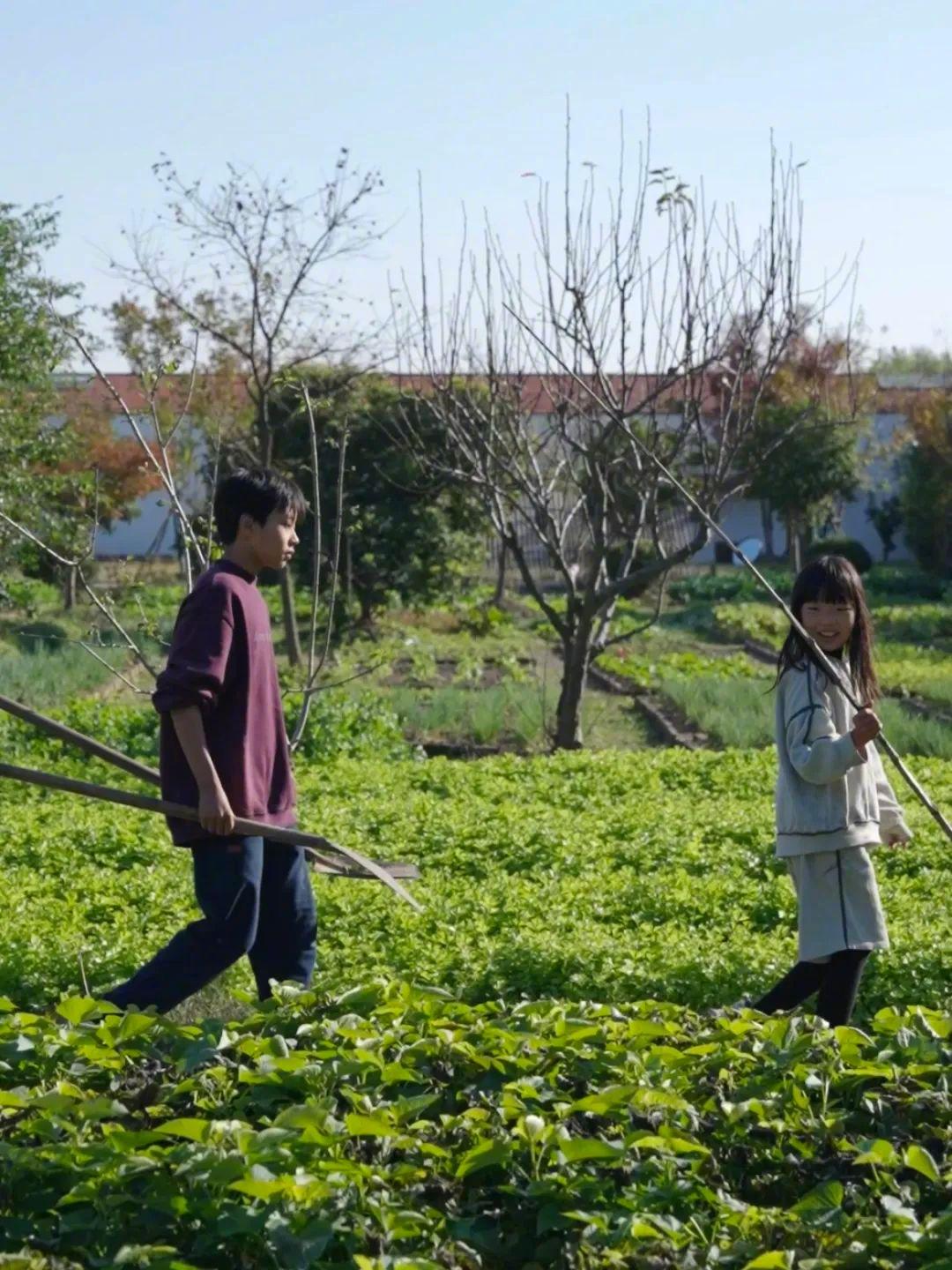 Cặp vợ chồng về quê mua đất làm trang trại: "Đây là quyết định đúng đắn nhất cho đến bây giờ của chúng tôi"- Ảnh 17.