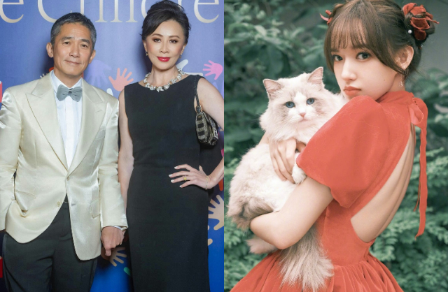 1 tài tử quyền lực bao nuôi nhân tình và có con riêng ở Nhật Bản, bà cả minh tinh quyết liệt bảo vệ khối tài sản nghìn tỷ - Ảnh 2.