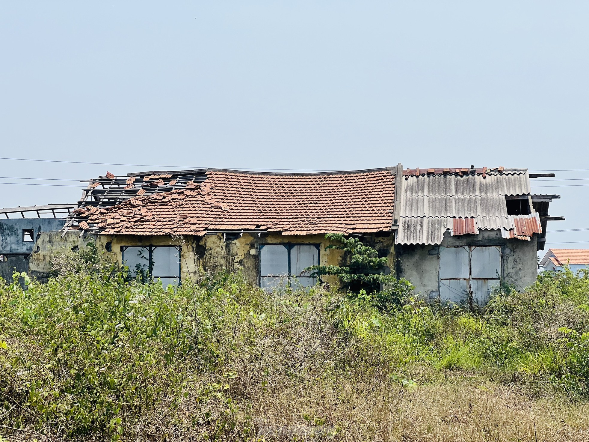 Hoang tàn nơi làm việc của giám đốc gần 70 tuổi 'không được' về hưu, lương 0 đồng - Ảnh 8.