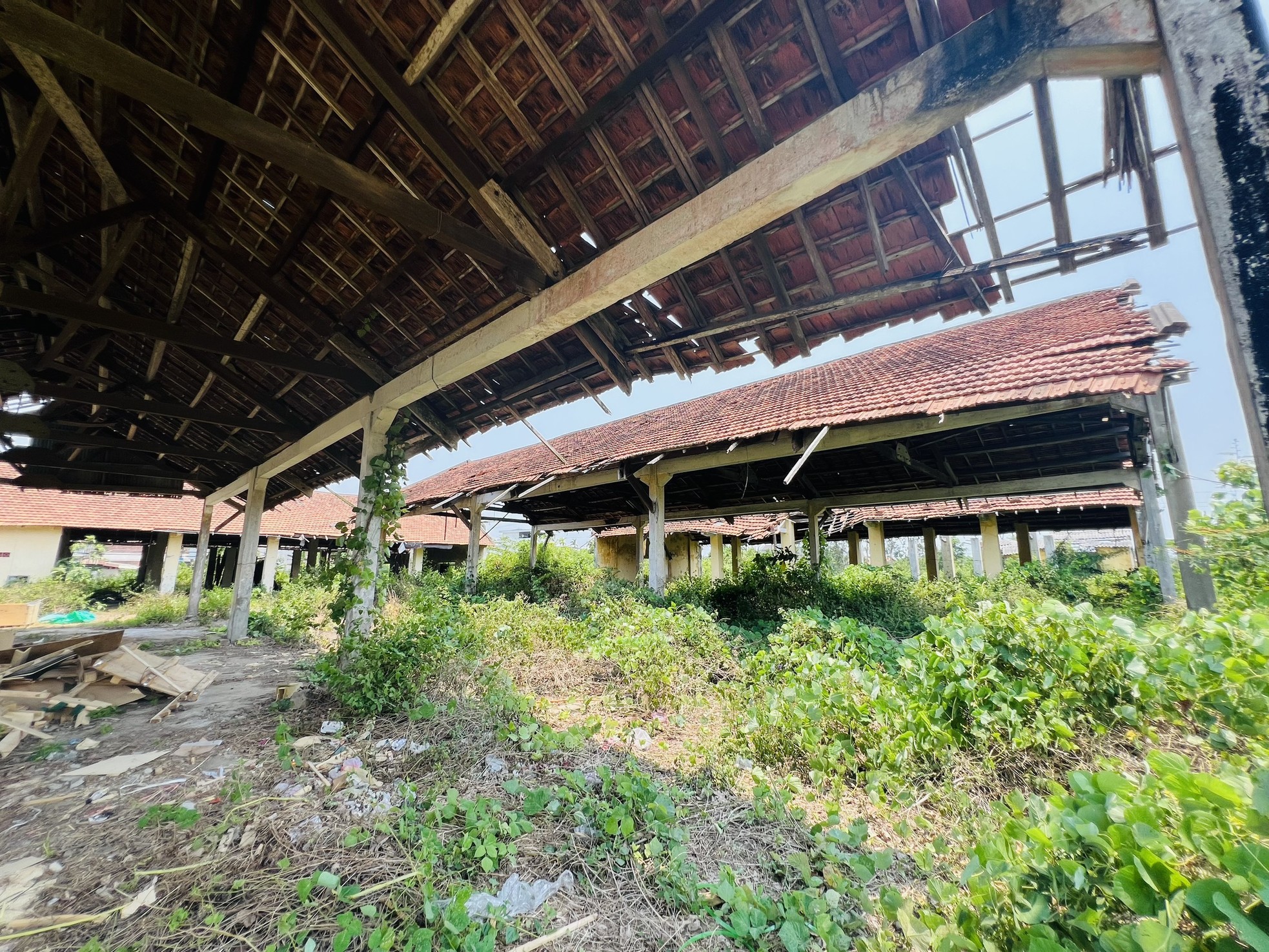 Hoang tàn nơi làm việc của giám đốc gần 70 tuổi 'không được' về hưu, lương 0 đồng - Ảnh 12.