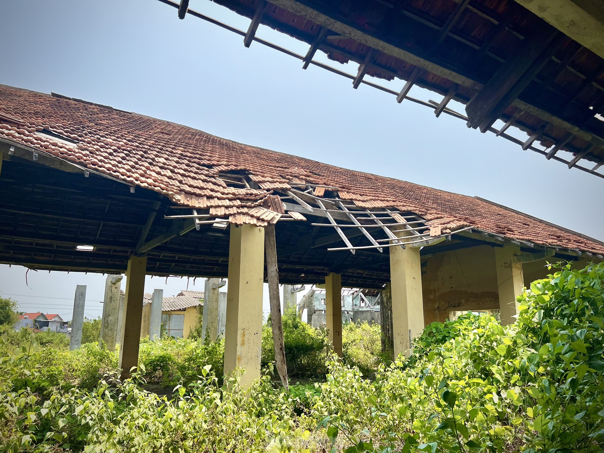 Hoang tàn nơi làm việc của giám đốc gần 70 tuổi 'không được' về hưu, lương 0 đồng - Ảnh 11.