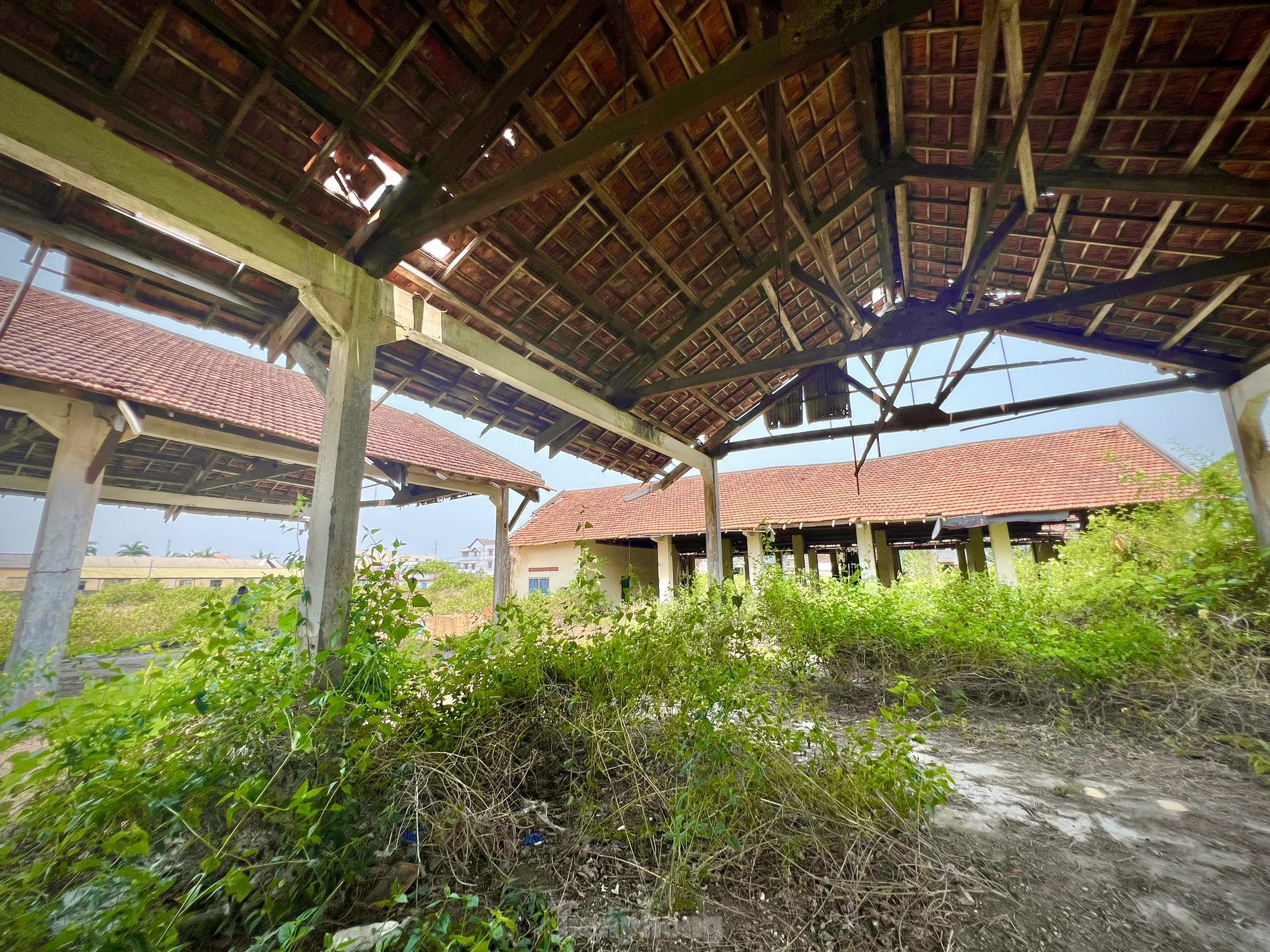 Hoang tàn nơi làm việc của giám đốc gần 70 tuổi 'không được' về hưu, lương 0 đồng - Ảnh 7.