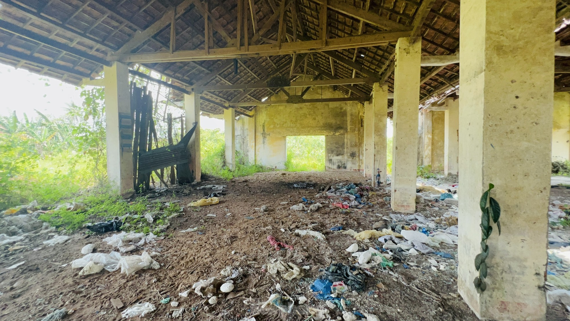 Hoang tàn nơi làm việc của giám đốc gần 70 tuổi 'không được' về hưu, lương 0 đồng - Ảnh 10.