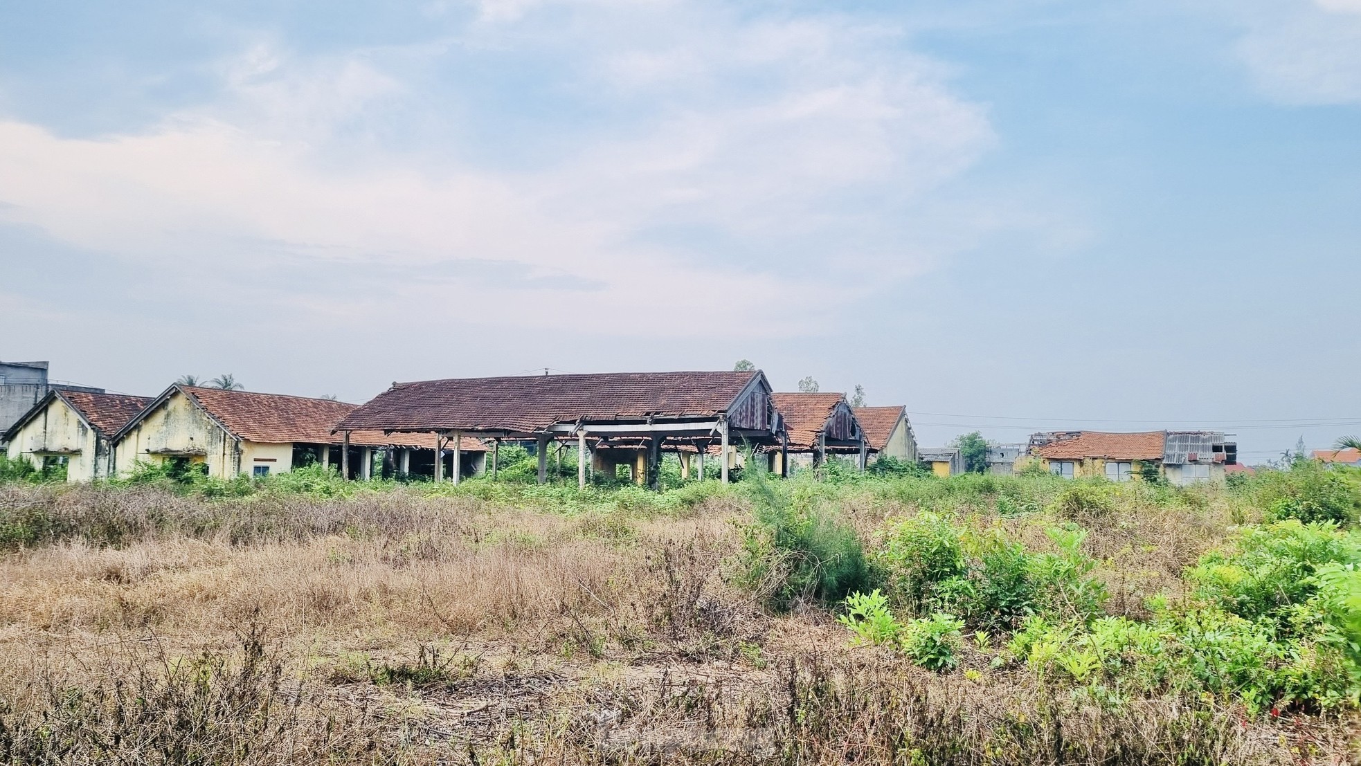 Hoang tàn nơi làm việc của giám đốc gần 70 tuổi 'không được' về hưu, lương 0 đồng - Ảnh 4.