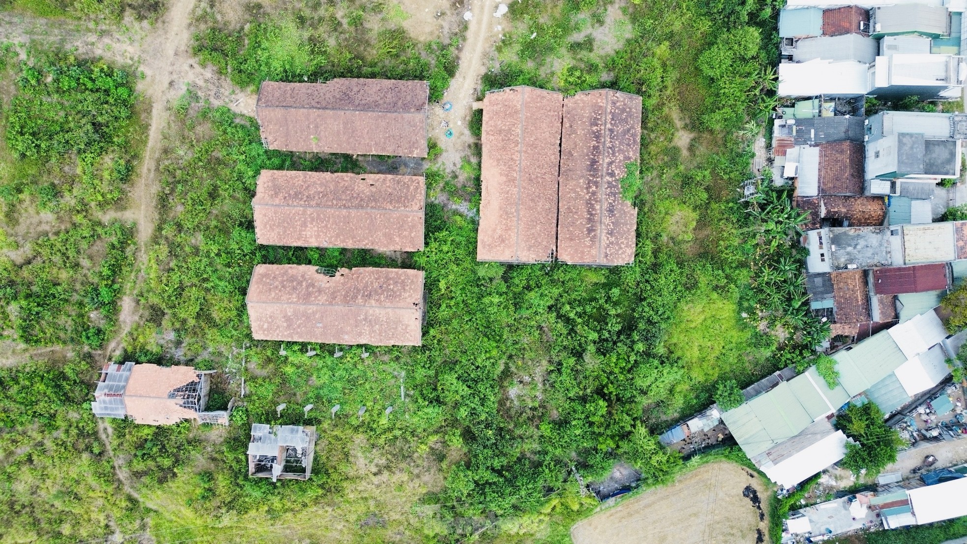 Hoang tàn nơi làm việc của giám đốc gần 70 tuổi 'không được' về hưu, lương 0 đồng - Ảnh 2.