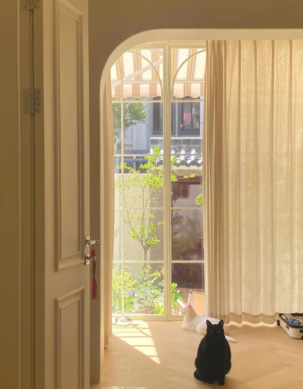 Người phụ nữ mua một căn nhà cũ rộng 60m2 và biến khoảng sân rộng 40m2 thành khu vườn mơ ước, cách trang trí ai nhìn cũng thích mê- Ảnh 10.