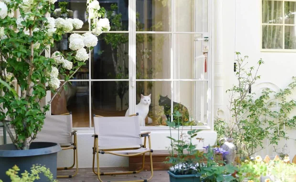 Người phụ nữ mua một căn nhà cũ rộng 60m2 và biến khoảng sân rộng 40m2 thành khu vườn mơ ước, cách trang trí ai nhìn cũng thích mê- Ảnh 19.