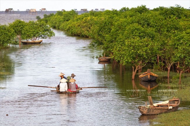 Không cần tốn công ra Hạ Long hay Cát Bà, ngay gần Hà Nội có 1 bãi biển đẹp mê mẩn: Còn nguyên vẻ hoang sơ với nhiều cảnh &quot;ảo diệu&quot; độc nhất, có thể đi ngay trong ngày - Ảnh 12.