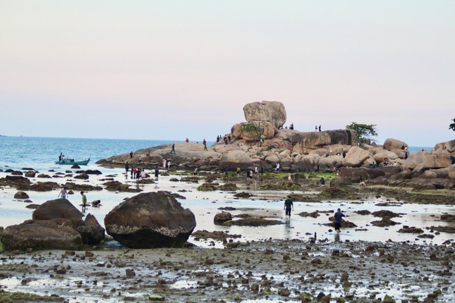 Nhiều người đổ ra biển 'uy hiếp' rạn san hô vịnh Nha Trang - Ảnh 1.
