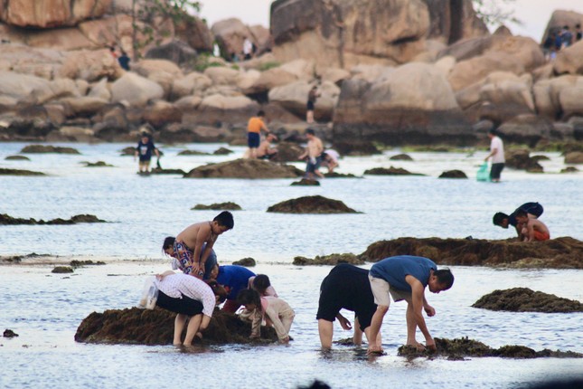 Nhiều người đổ ra biển 'uy hiếp' rạn san hô vịnh Nha Trang - Ảnh 2.