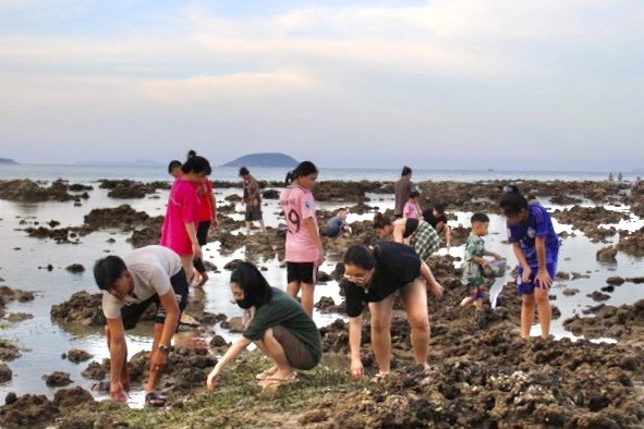 Nhiều người đổ ra biển 'uy hiếp' rạn san hô vịnh Nha Trang - Ảnh 3.