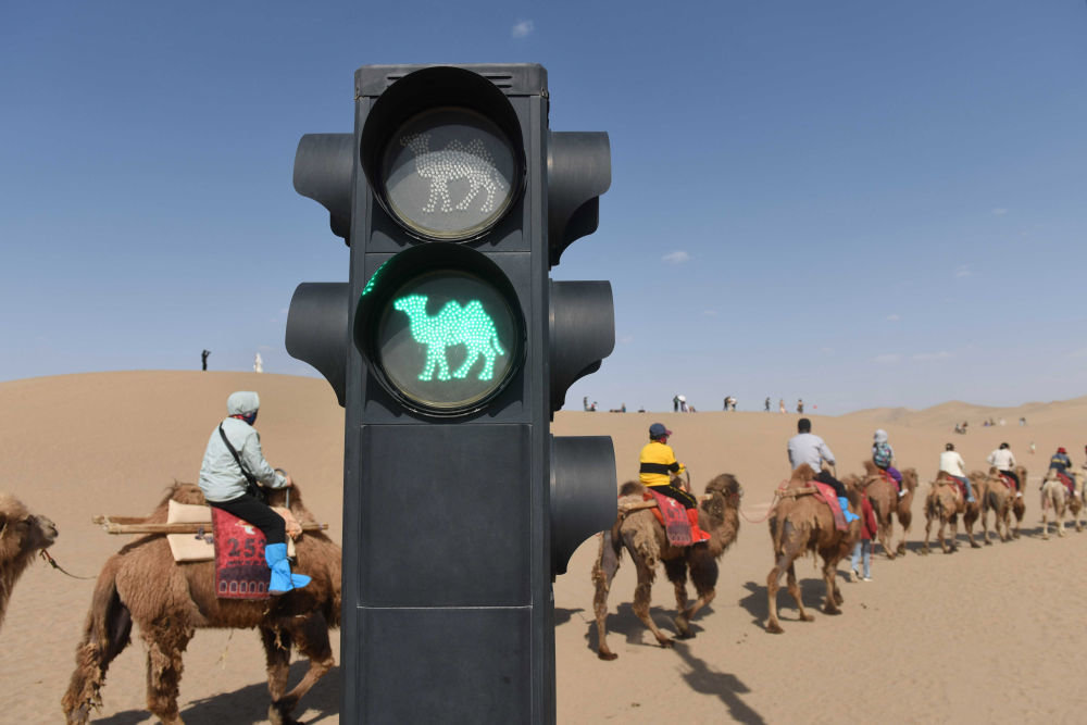 Lắp đèn đỏ giữa sa mạc tránh kẹt lạc đà| Tân Thế Kỷ| Con đường Tơ lụa